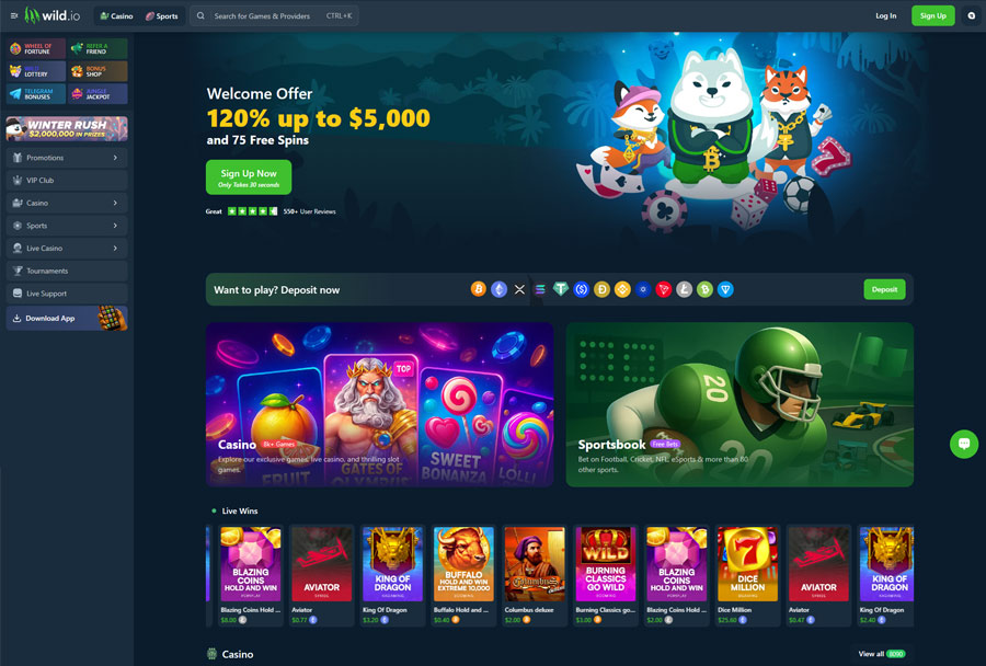 Wild.io Casino – Instant Withdrawals and Anonymous Play